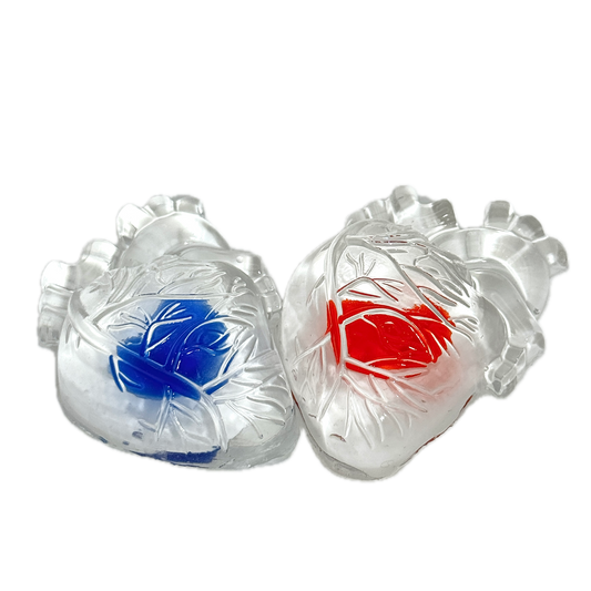 Transparent Heart Squishy